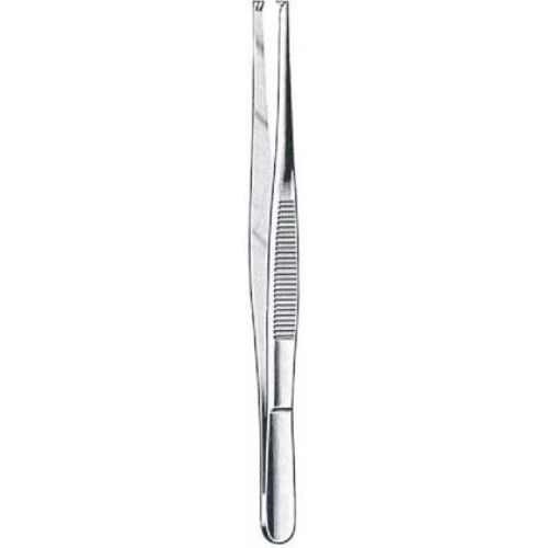 Thomas Gaylor Cervical Biopsy And Specimen Forceps 240 Cm