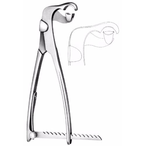 Lambotte Bone Holding Forceps 26.0 cm , With Ratchet – JFU Industries