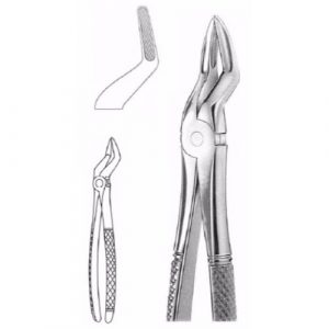 Extracting Forceps # 51, English Pattern  - JFU Industries