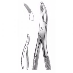 Witzel Extracting Forceps # 501, English Pattern  - JFU Industries