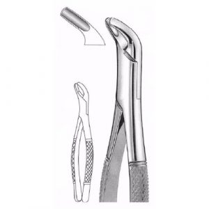 Extracting Forceps # 27, American Pattern  - JFU Industries